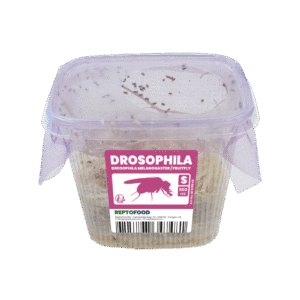 Drosophiles 1mm - Pot 0,5L
